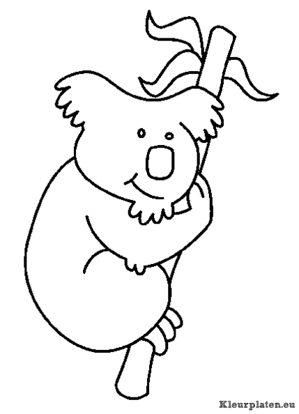 Koala beertjes kleurplaten