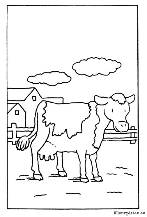 Koeien kleurplaat