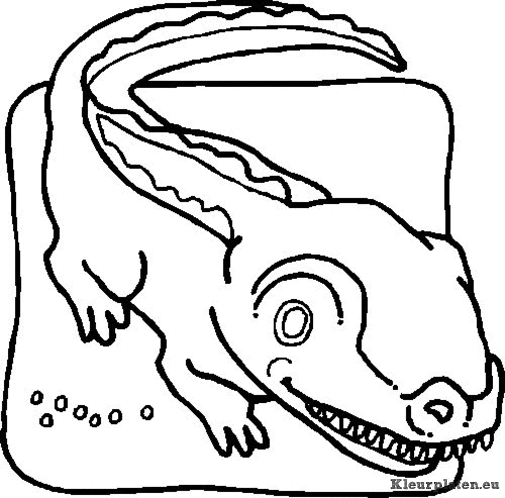 Krokodillen kleurplaten