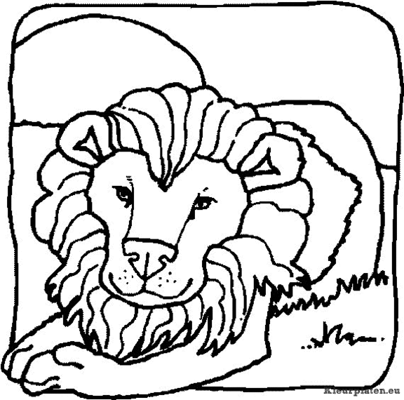 Leeuwen kleurplaten