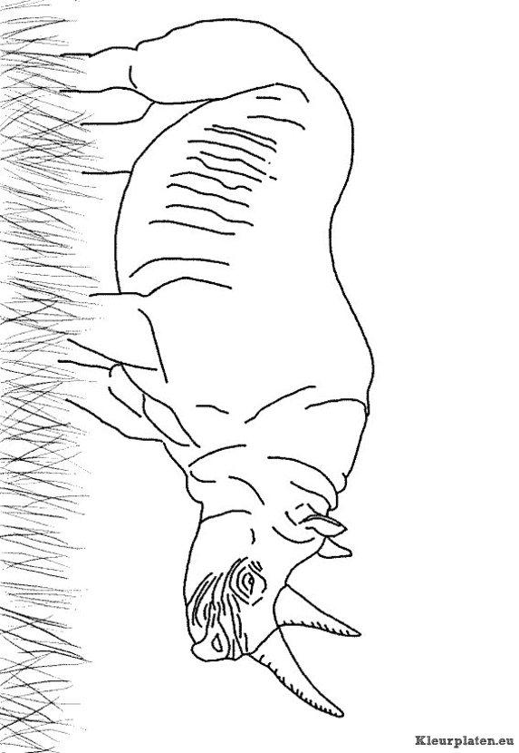 Neushoorn kleurplaten