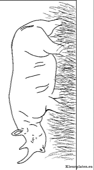 Neushoorn kleurplaten