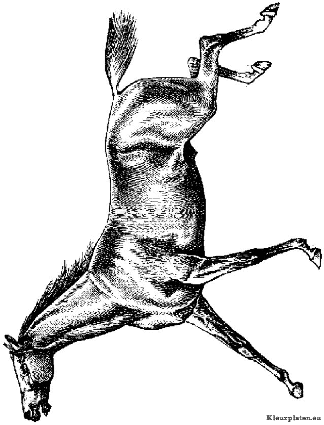 Paarden kleurplaten