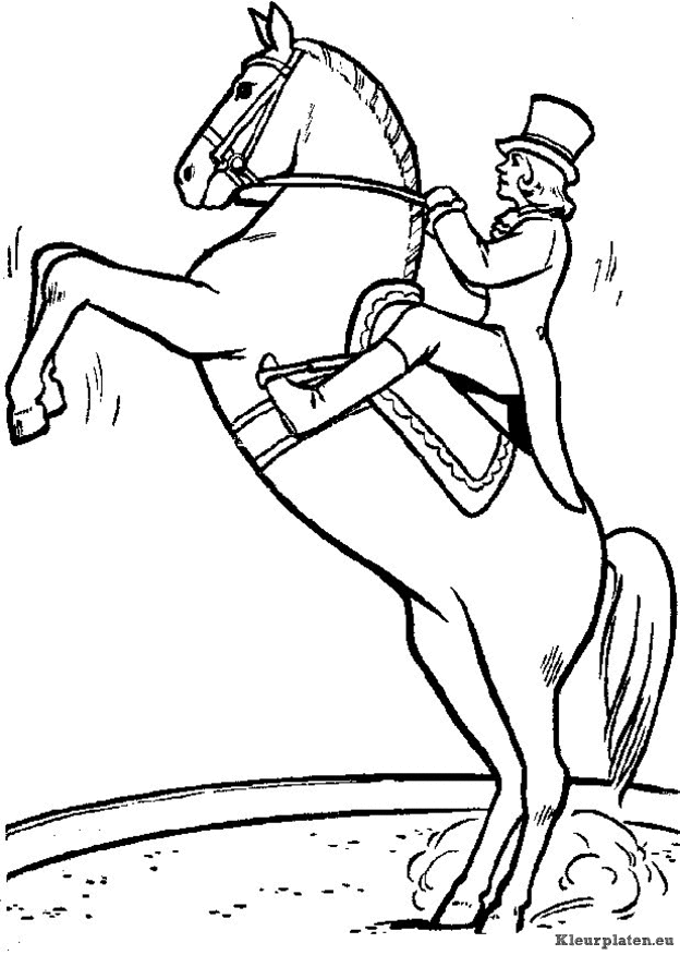 Paarden kleurplaten
