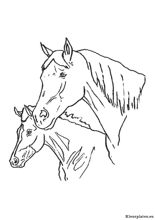 Paarden kleurplaten