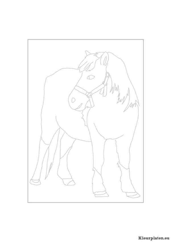 Paarden kleurplaten