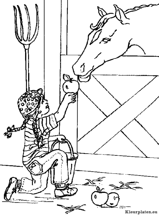 Paarden kleurplaten