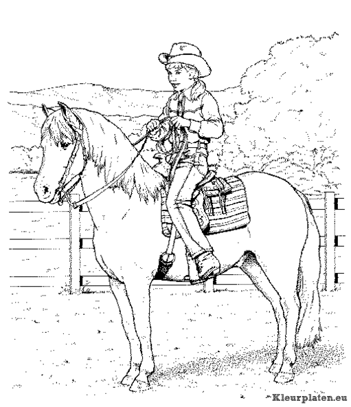 Paarden kleurplaten