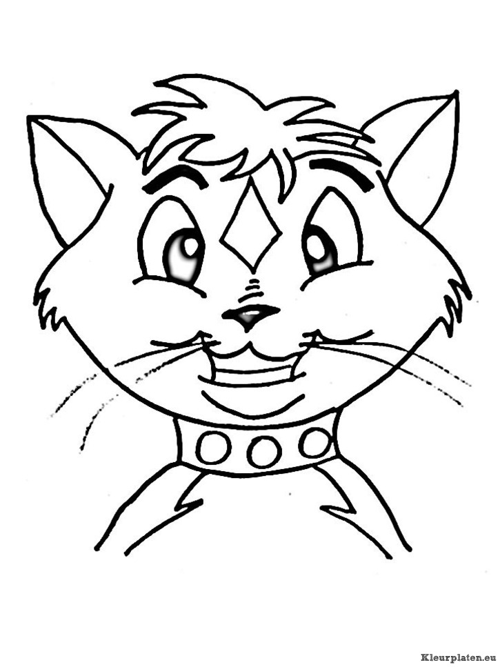 Poezen en katten kleurplaten