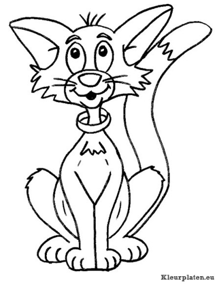 Poezen en katten kleurplaten