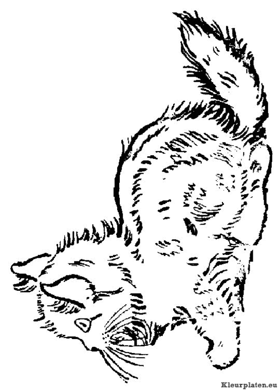 Poezen en katten kleurplaten