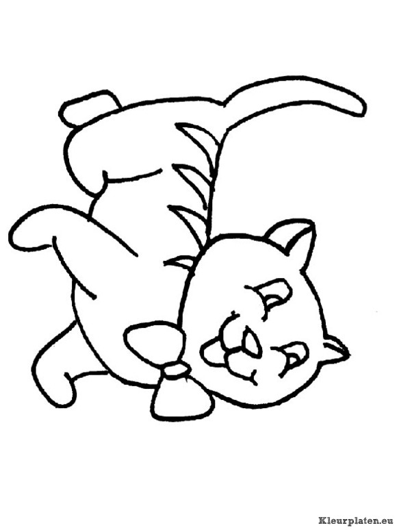 Poezen en katten kleurplaten