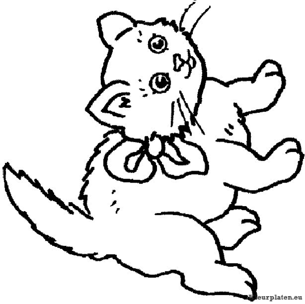 Poezen en katten kleurplaten