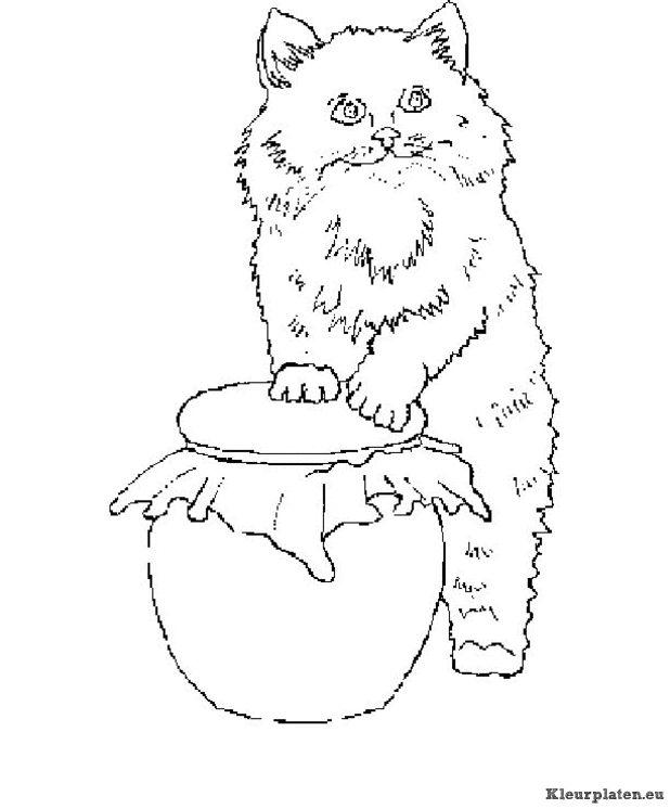 Poezen en katten kleurplaten