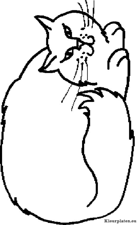 Poezen en katten kleurplaten