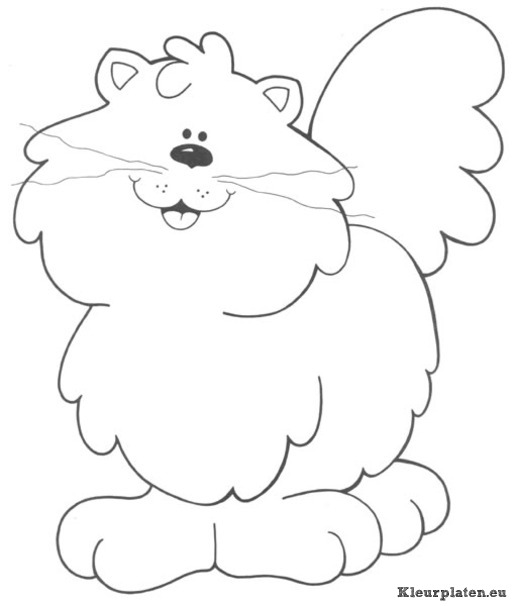 Poezen en katten kleurplaten