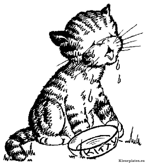 Poezen en katten kleurplaten