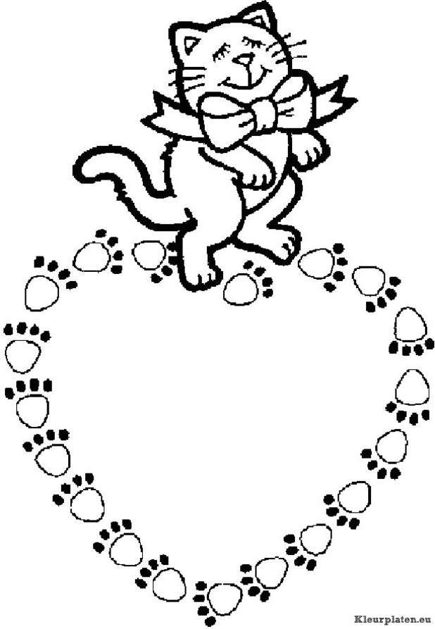 Poezen en katten kleurplaten