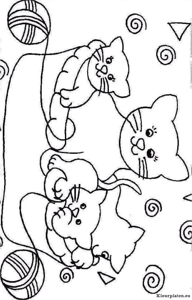 Poezen en katten kleurplaten
