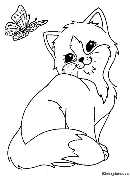 Poezen en katten kleurplaten
