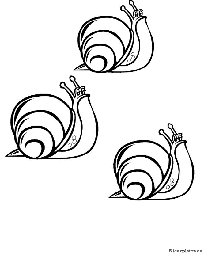 Slakken kleurplaten
