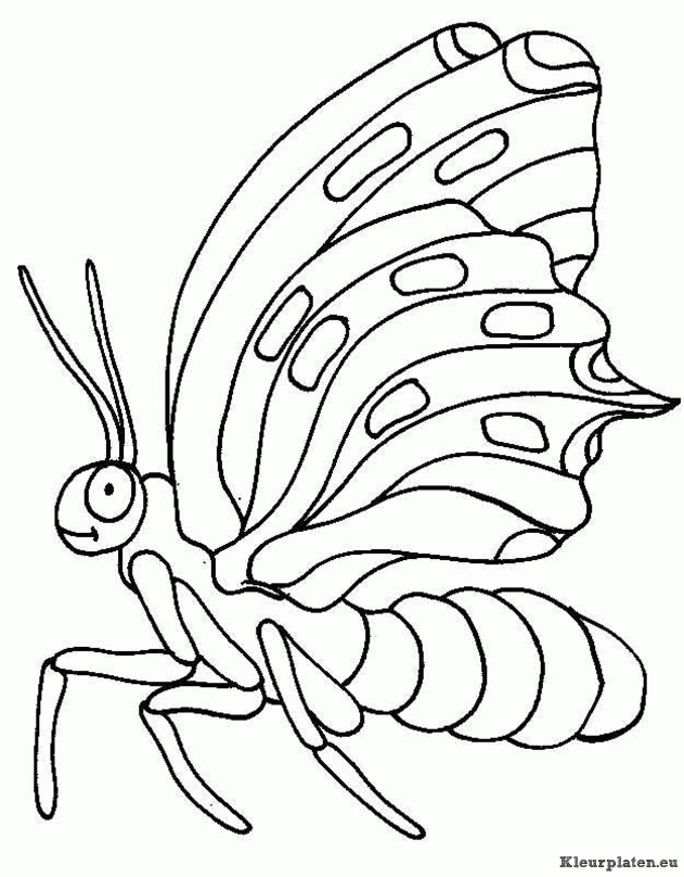 Vlinders kleurplaten