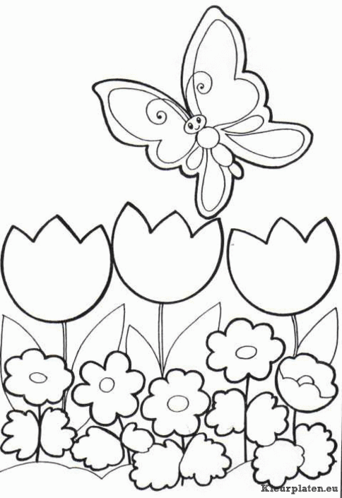 Vlinders kleurplaten