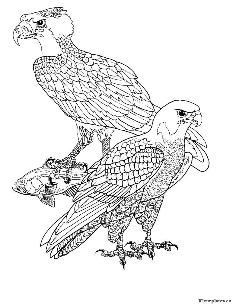 Vogels kleurplaten