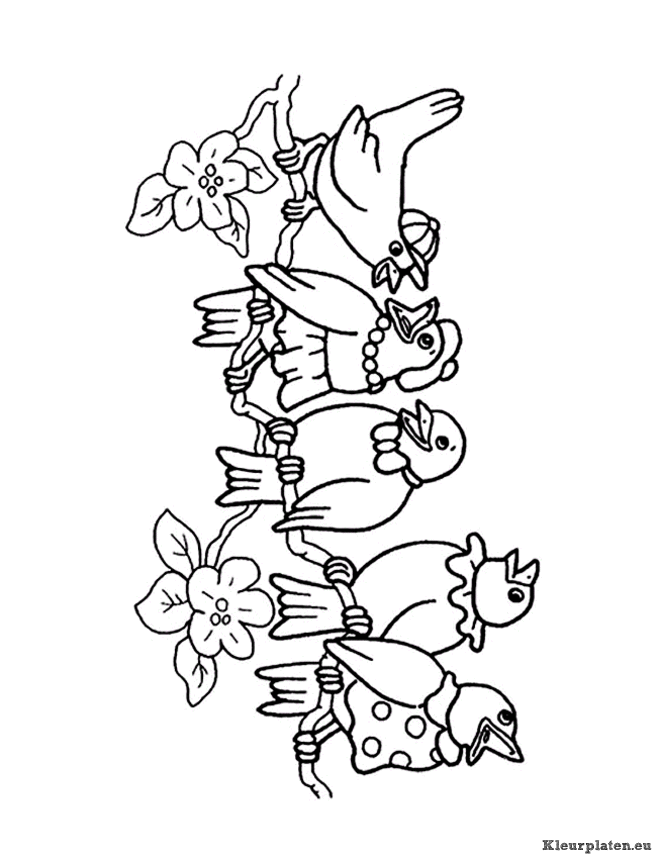 Vogels kleurplaten