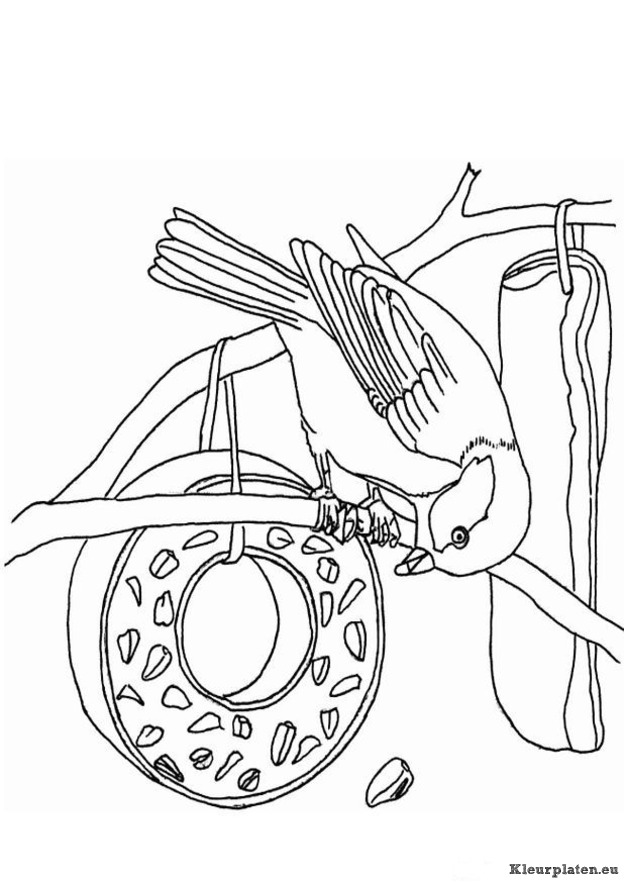 Vogels kleurplaten
