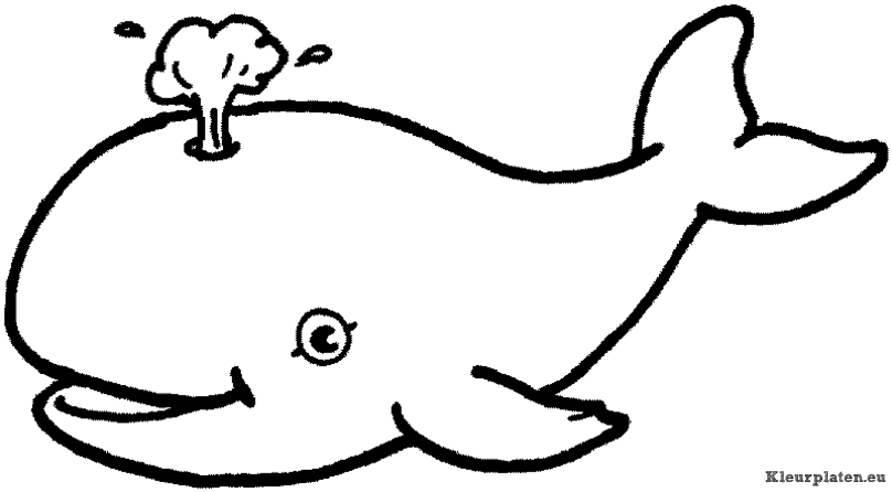 Zeedieren kleurplaten