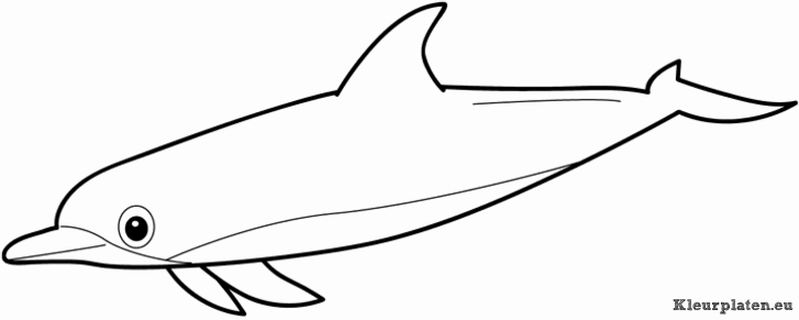 Zeedieren kleurplaten