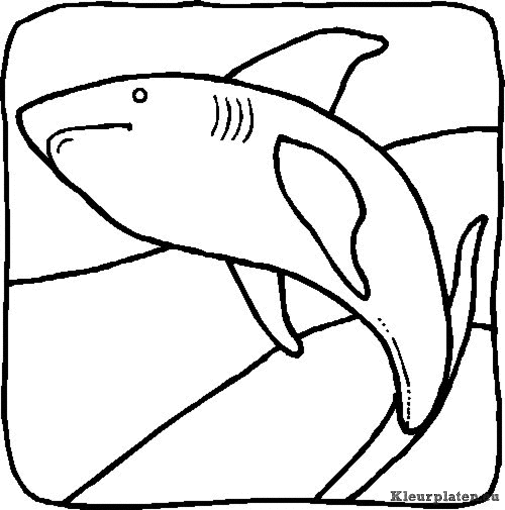 Zeedieren kleurplaten
