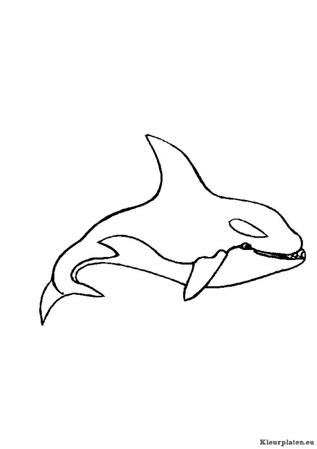 Zeedieren kleurplaten