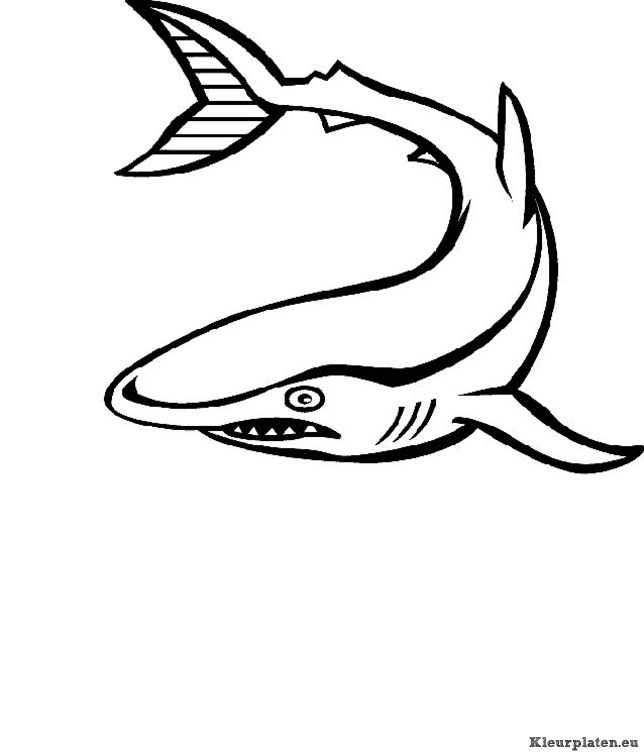 Zeedieren kleurplaten