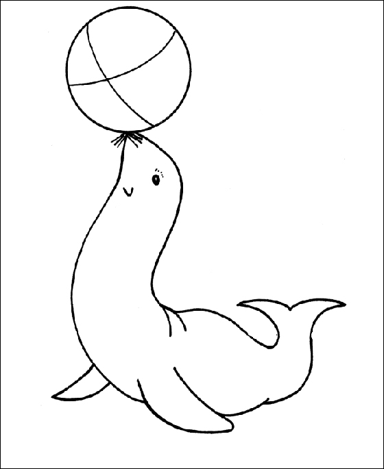 Zeehond houdt bal hoog kleurplaat