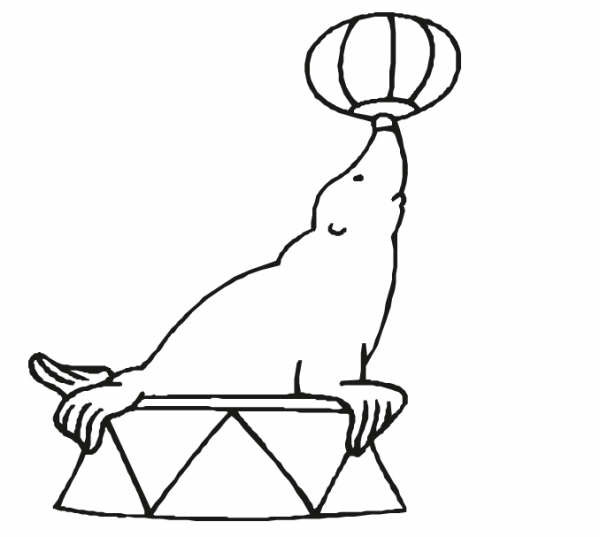 Circus zeehond met bal