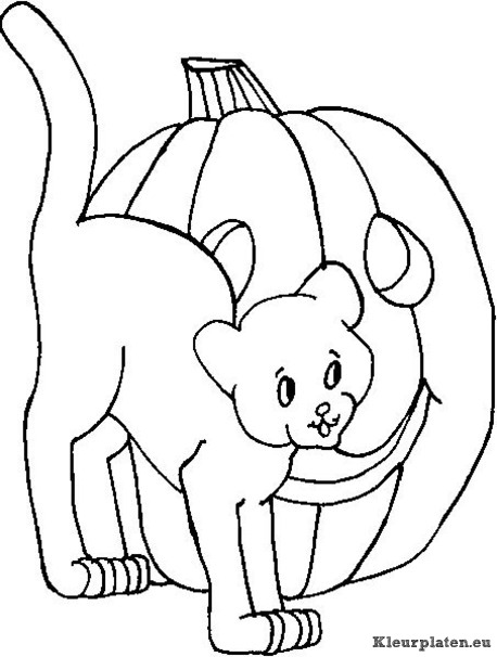 Halloween kleurplaten