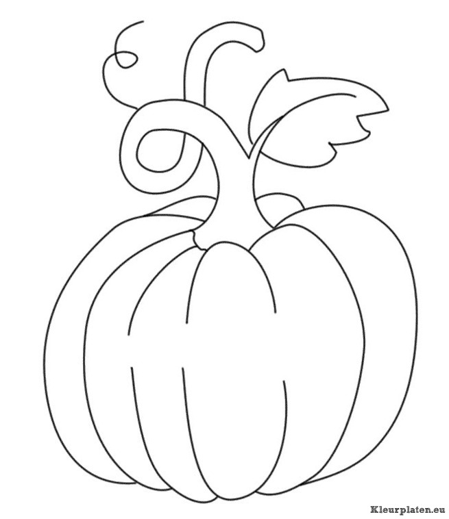 Halloween kleurplaten