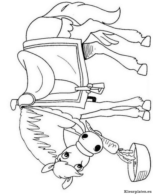 Sinterklaas kleurplaten