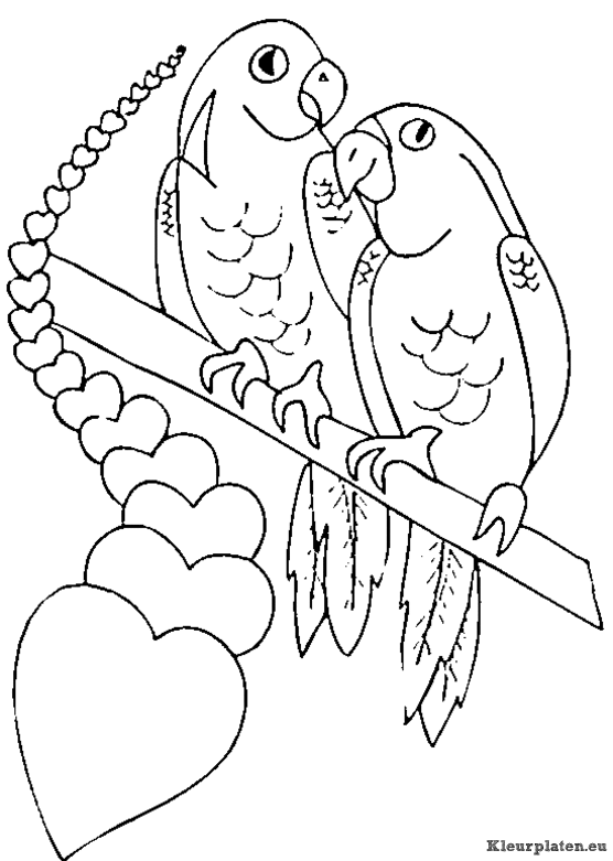 Valentijn kleurplaten