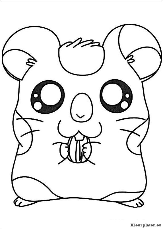 Hamtaro kleurplaat