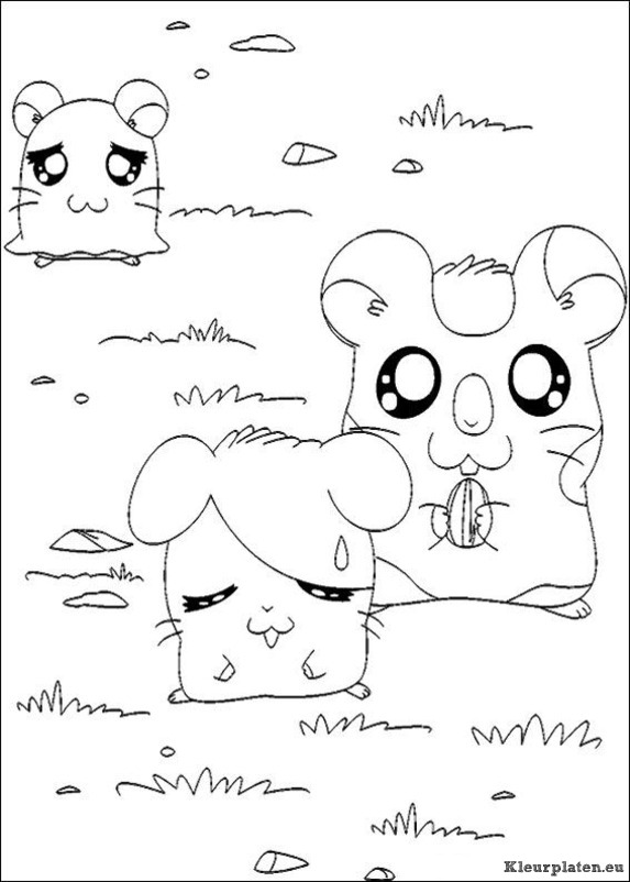 Hamtaro kleurplaat