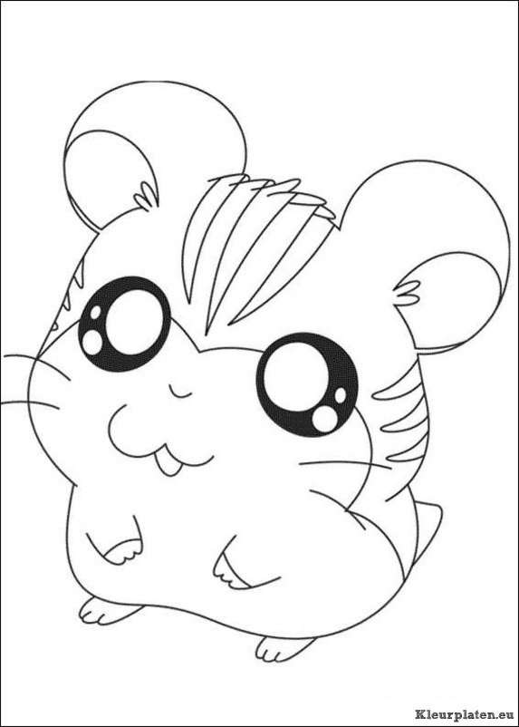 Hamtaro kleurplaat