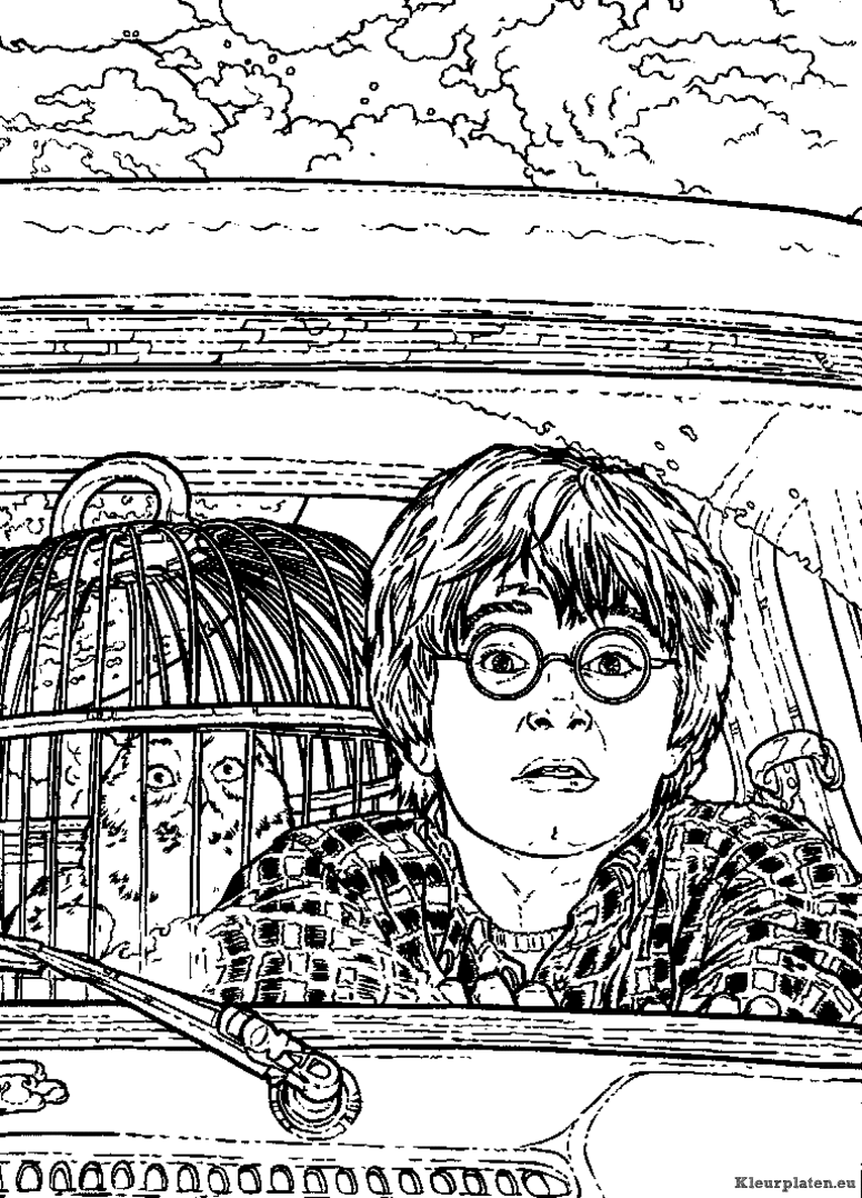 Harry potter en de geheime kamer kleurplaten