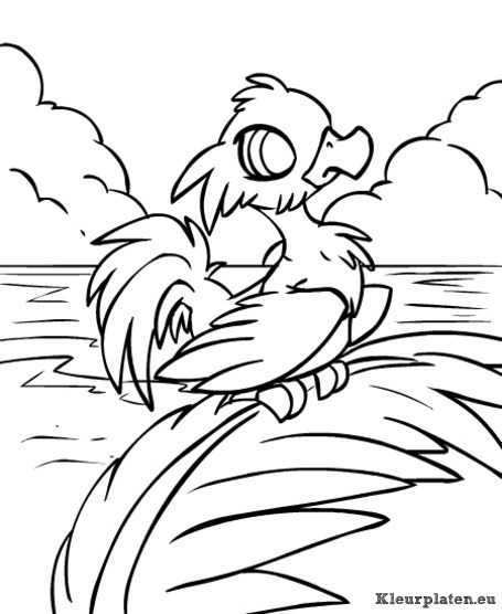 Neopets krawk eiland kleurplaten