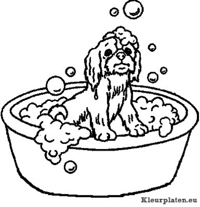 Hond in bad kleurplaat