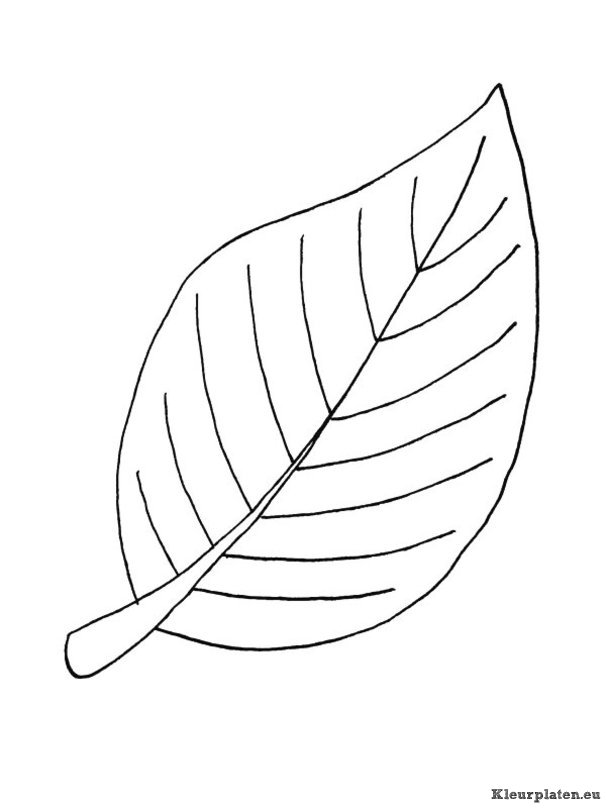 Blaadjes kleurplaten