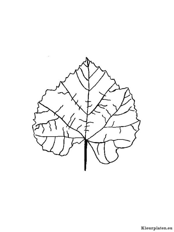 Blaadjes kleurplaten