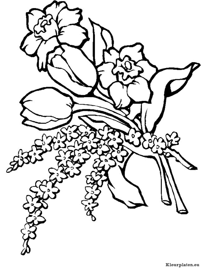 Bloemen kleurplaten